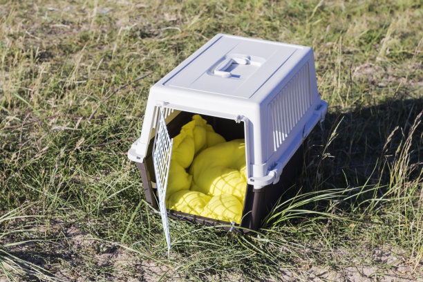 旅行宠物运输车图片下载