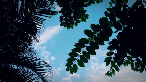 的天空图片下载