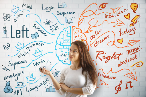 左右脑图片下载