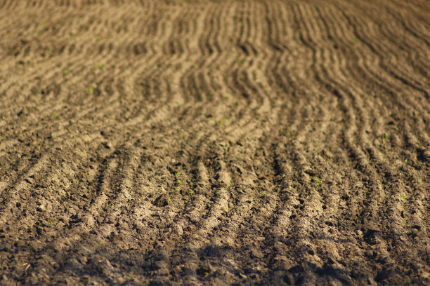 村里已耕好准备种土豆的土地图片下载