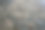 玫瑰花瓣图片下载