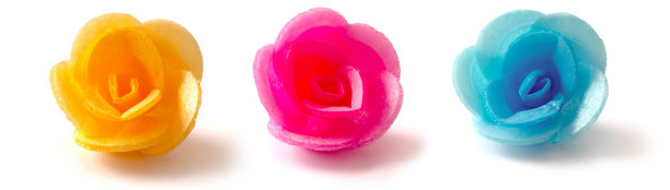 晶片玫瑰图片下载