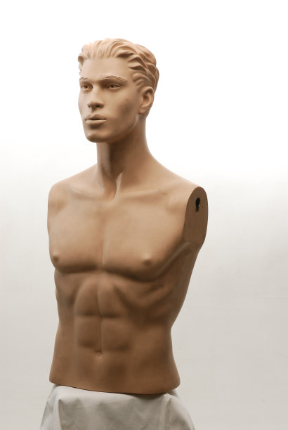 白色背景下的无手人体模型图片下载