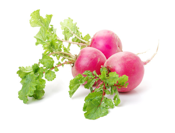 在白色背景上分离的新鲜甜菜根图片下载