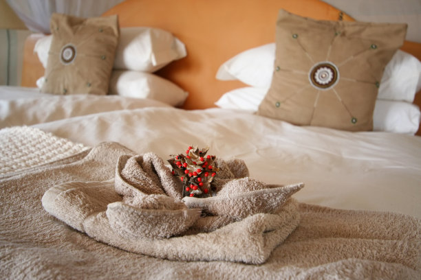 非洲酒店房间图片下载