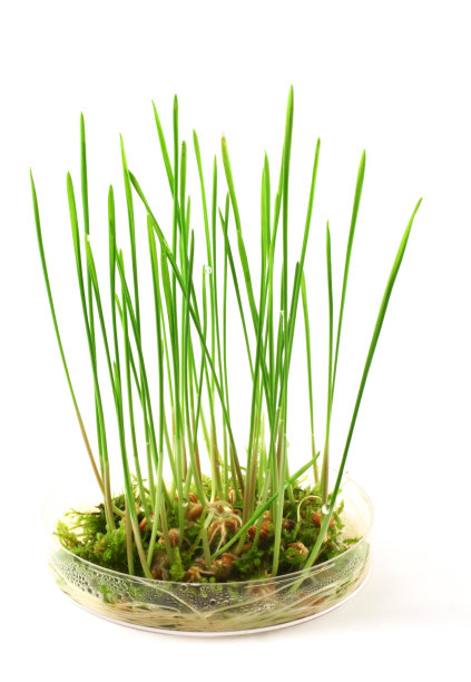 新的开始图片下载