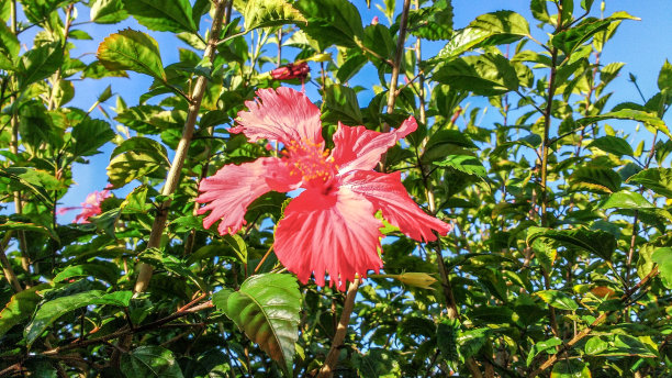 城市的自然图片下载