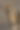 骆驼图片下载