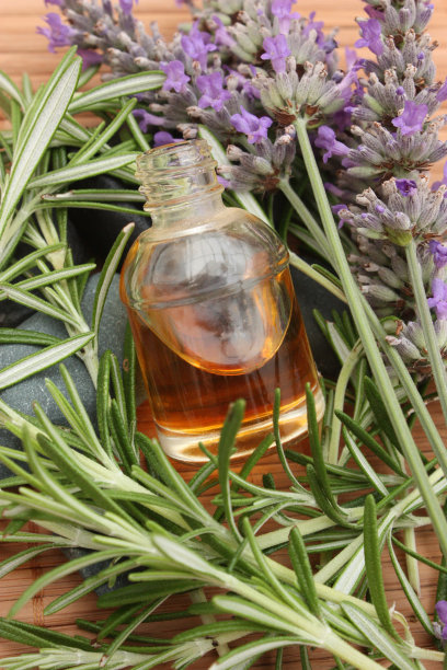 薰衣草和迷迭香精油图片下载