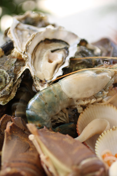 新鲜的海鲜图片下载