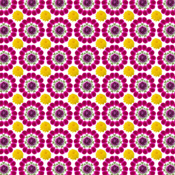 粉红色大丽花图案图片下载