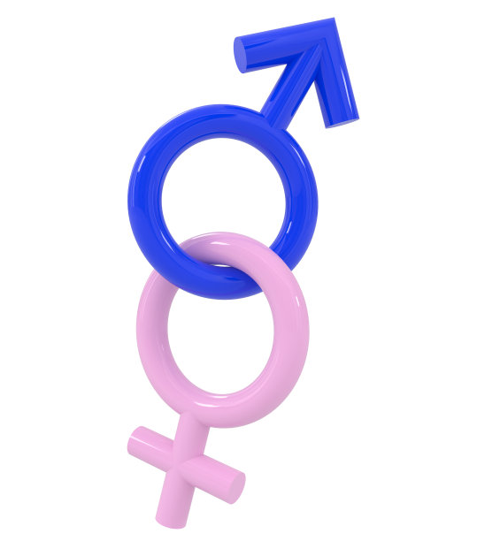 抽象的男人和女人象征孤立在白色图片下载