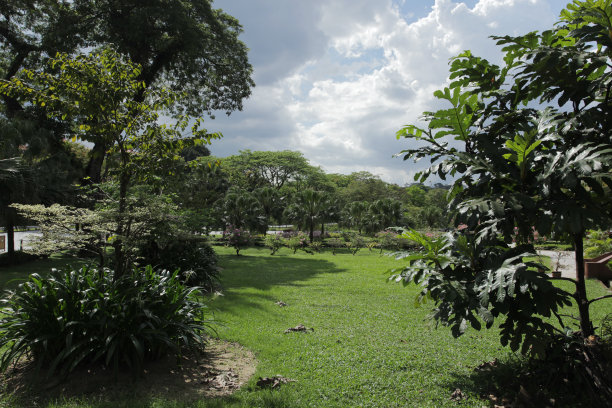 吉隆坡的草原图片下载