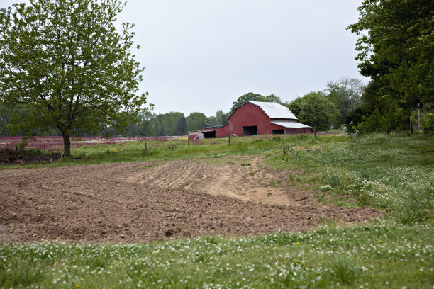 红谷仓和犁过的花园图片下载