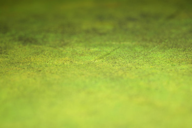 绿色背景图片下载