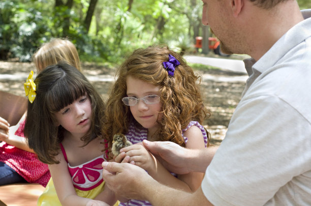 一家人抱着一只小鸡图片下载