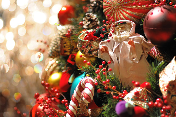 常青树上的节日装饰品图片下载