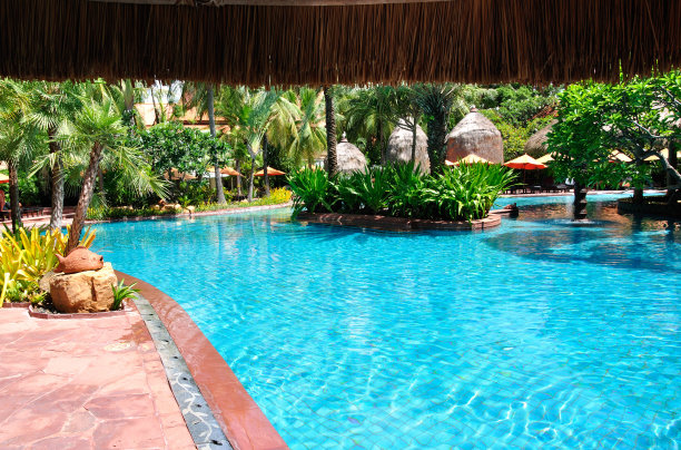 热带池图片下载