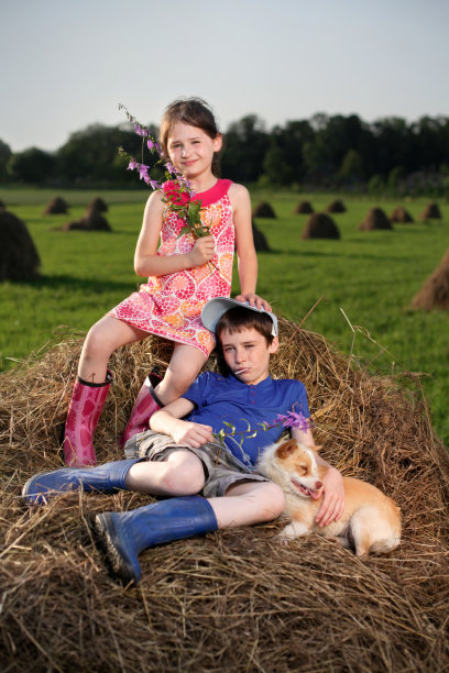 夏天lanscape图片下载