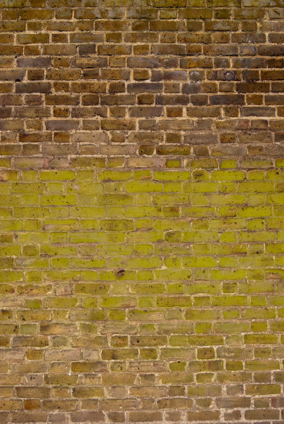 长满青苔的旧砖墙图片下载
