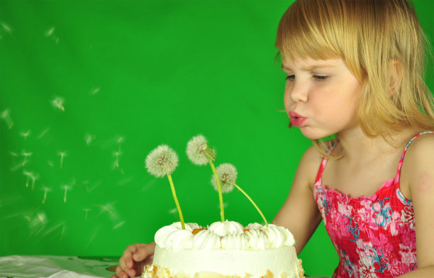 派与蒲公英图片下载