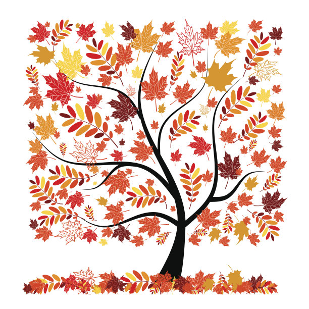 美丽的秋季树为您的设计图片下载