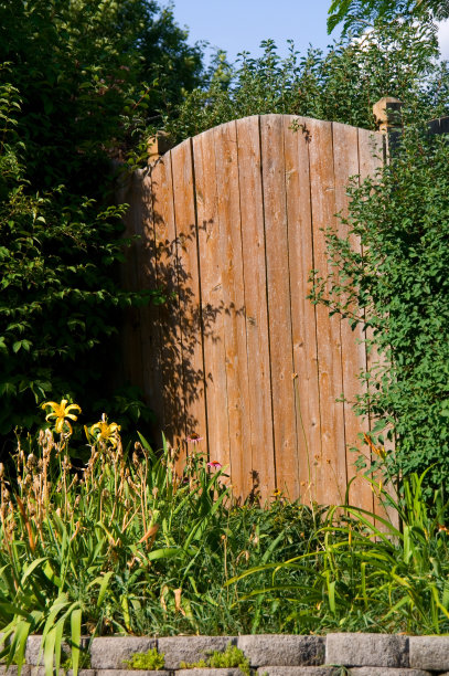 秘密花园图片下载