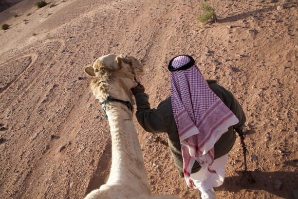 瓦迪拉姆的贝都因人和他的骆驼图片下载