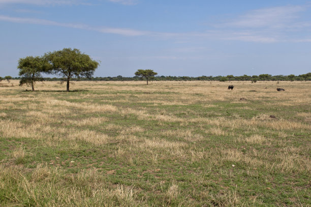 无尽的平原图片下载
