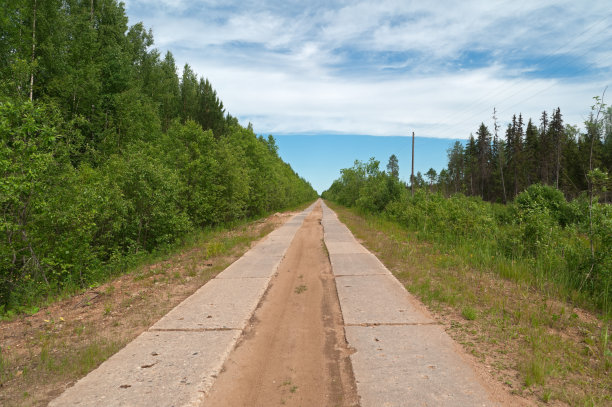 由混凝土板制成的笔直的道路被绿色的森林包围着。图片下载