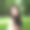 公园里的褐发美女图片下载