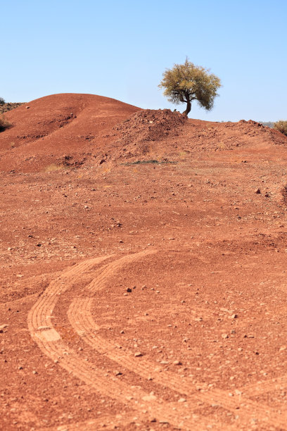 山上有棵绿树。图片下载