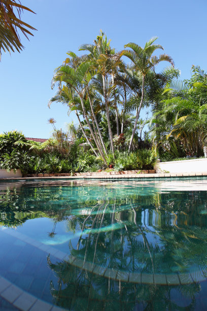 后院的游泳池图片下载