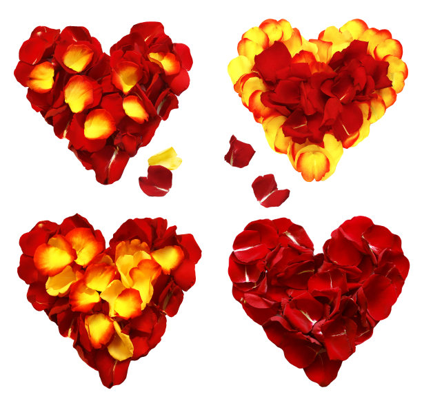 花瓣之心图片下载