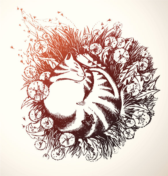 花背景与睡觉的猫图片下载