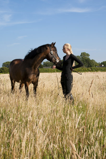 骑着马的年轻女子图片下载