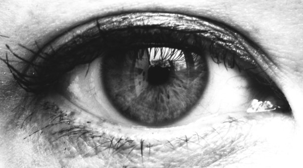 自画像图片下载