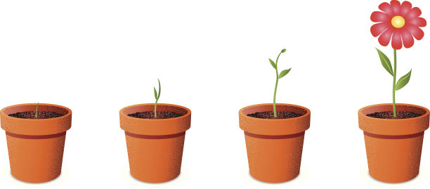 花越来越多图片下载