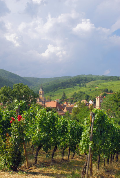 Ribeauville,法国阿尔萨斯图片下载