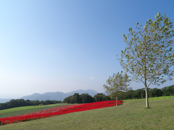 宽敞的公园俯瞰群山图片下载