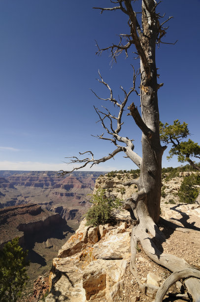 大峡谷国家公园图片下载