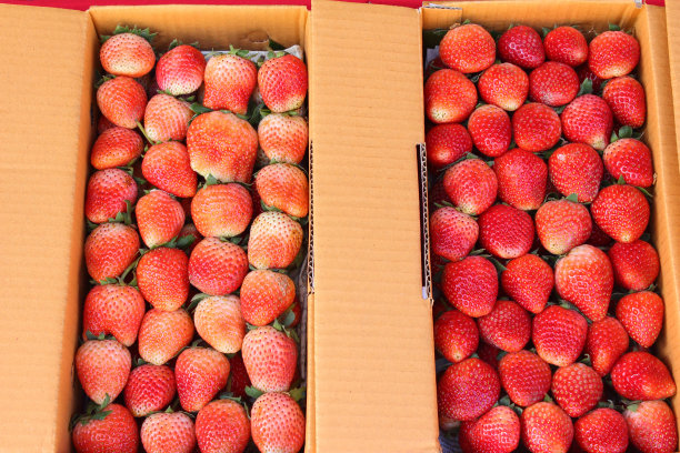 新鲜的草莓图片下载