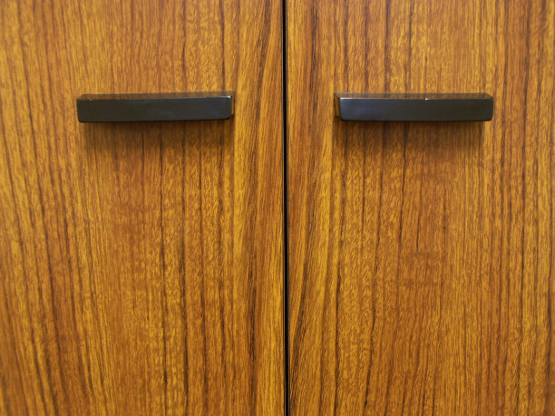 内阁的眼睛图片下载