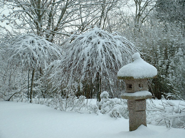 白雪# 2图片下载
