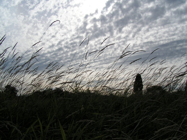尘土飞扬的天空图片下载