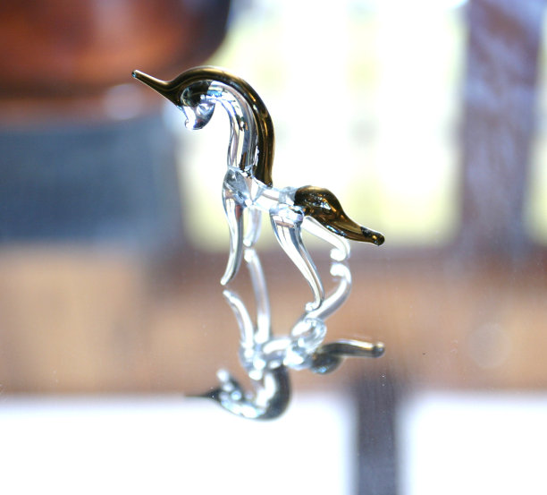 小独角兽。图片下载