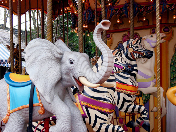 动物园的旋转木马图片下载