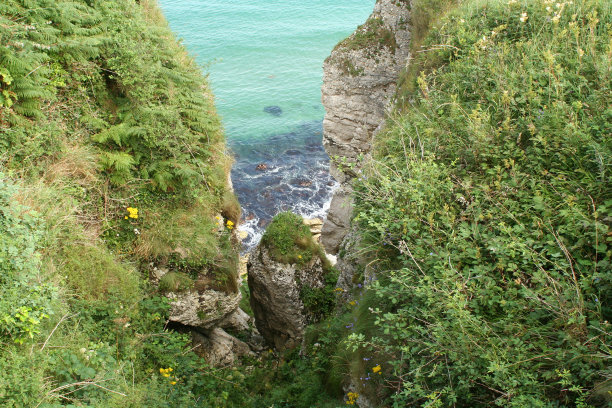 Carrick-a-rede桥风景图片下载