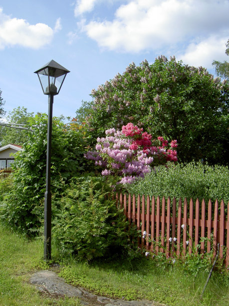 旧的灯图片下载