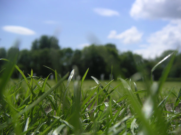 错误的生活图片下载